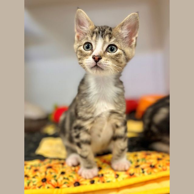 Photo of Tiny