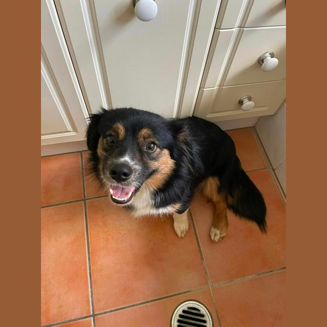 Photo of Mini