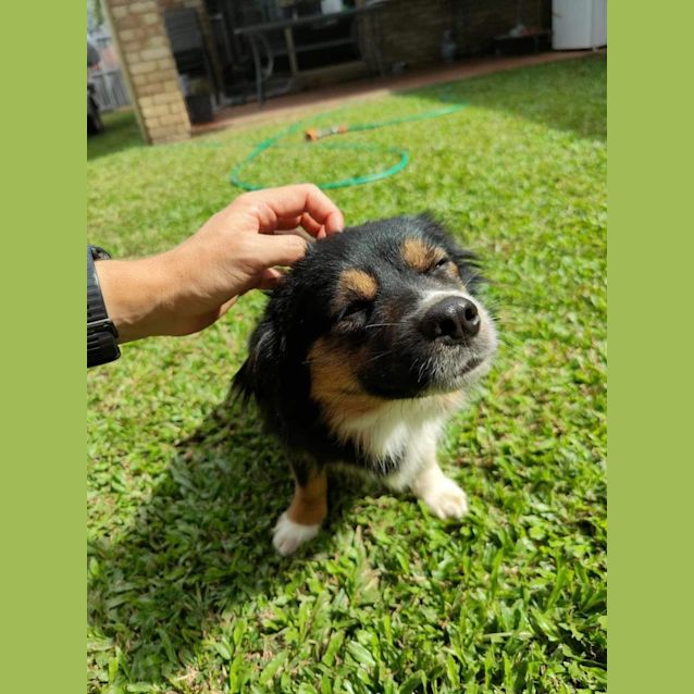 Photo of Mini