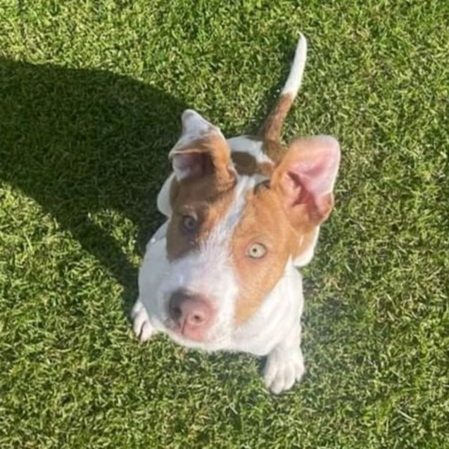 Photo of Sasha