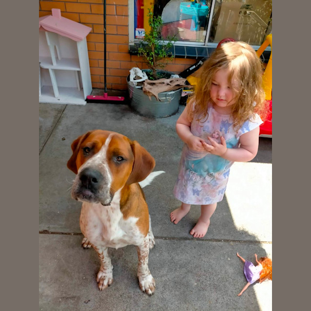 Photo of Odie