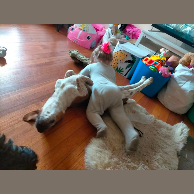 Photo of Odie