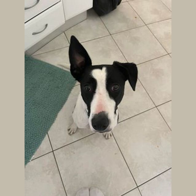 Photo of Jake