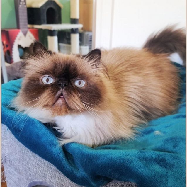 Photo of 🍄Enoki🍄