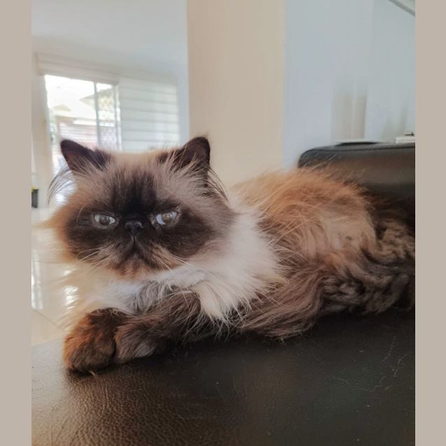 Photo of 🍄Enoki🍄