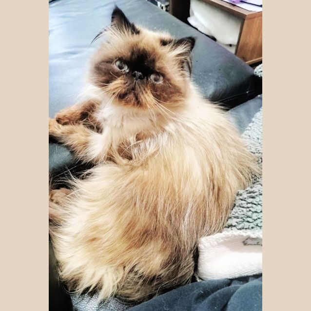 Photo of 🍄Enoki🍄