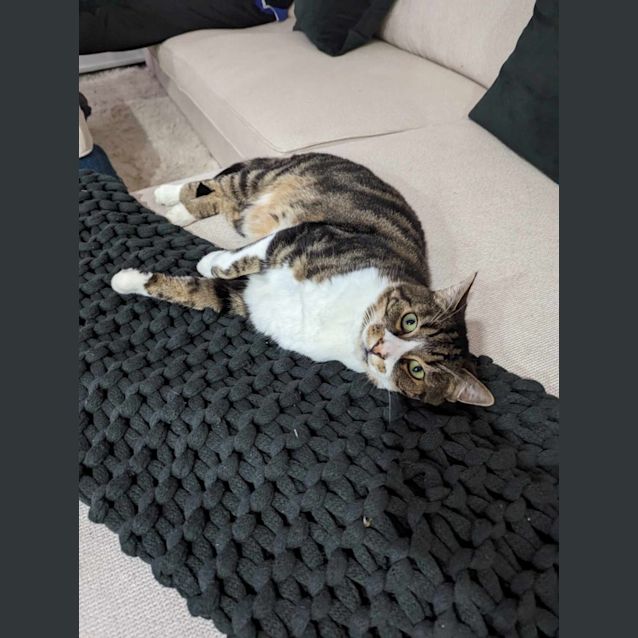 Photo of Barbados   Located In Brunswick East