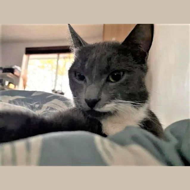 Photo of Missy And Dominica   Located In Northcote