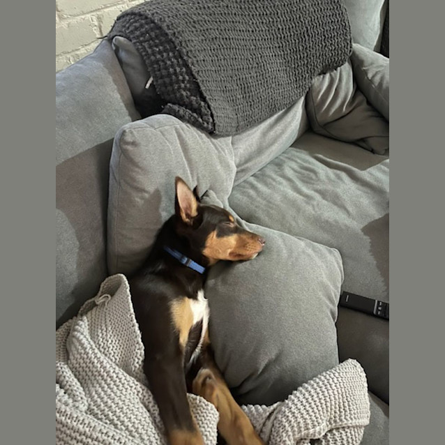 Photo of Mortimer