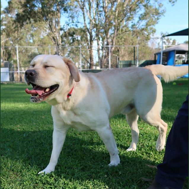 Photo of Biggie 