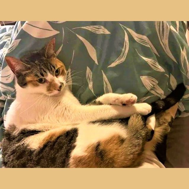 Photo of Missy And Dominica   Located In Northcote