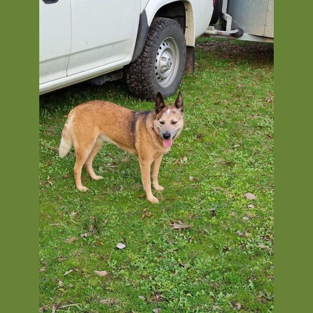 Photo of Rosie