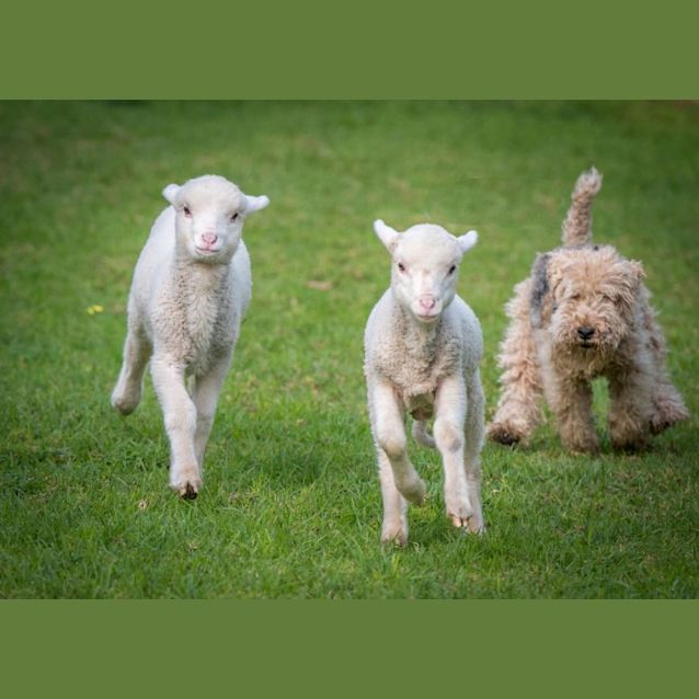 Photo of Ben And Andie