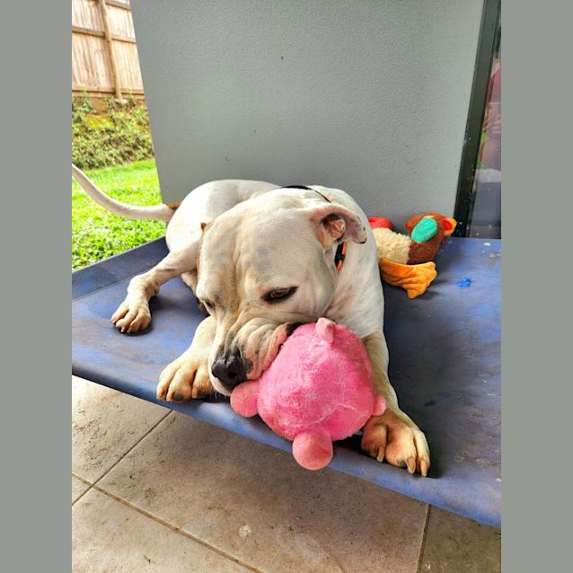 Photo of Bane