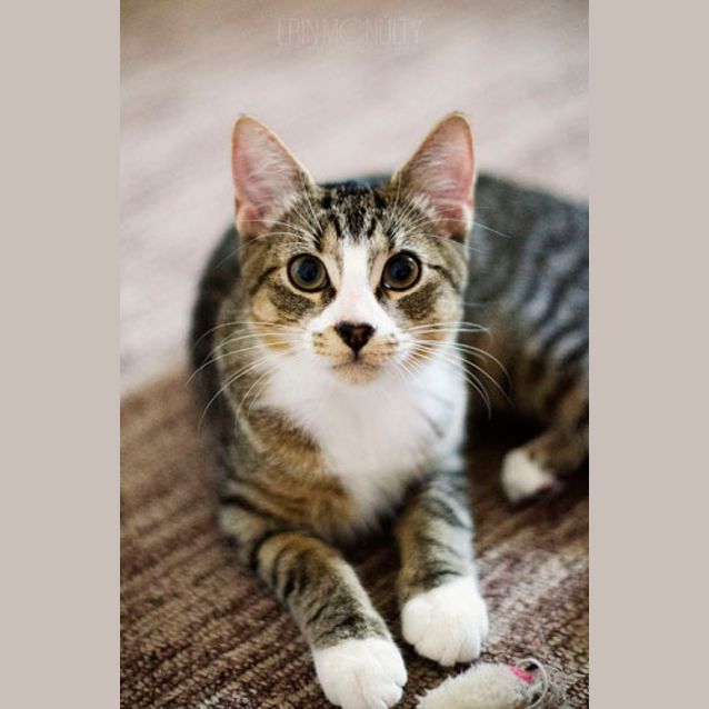 Photo of Loving Lionel