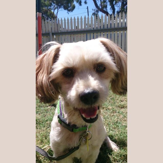 Photo of Milly