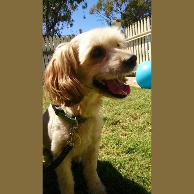 Photo of Milly