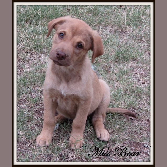 Photo of Miss Bear