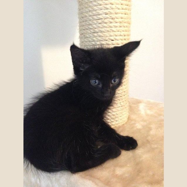 Photo of Jedda