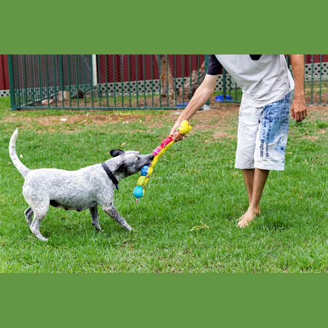 Photo of Noelle (Adopted By Foster Carer 5/10/14)