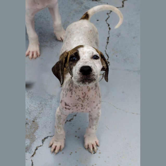Photo of Rebel