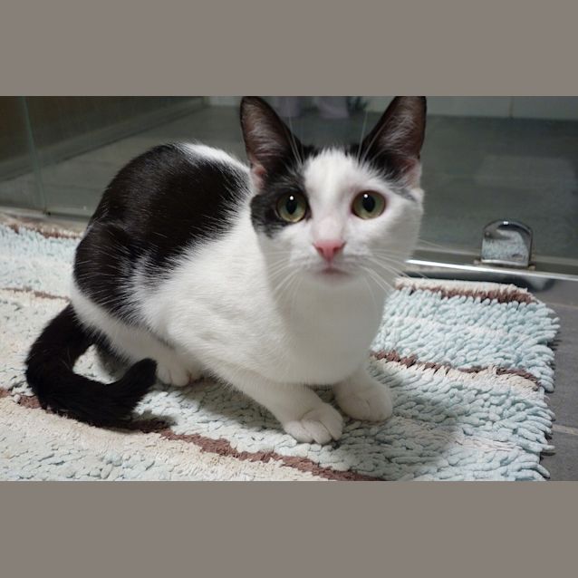 Photo of Buttons