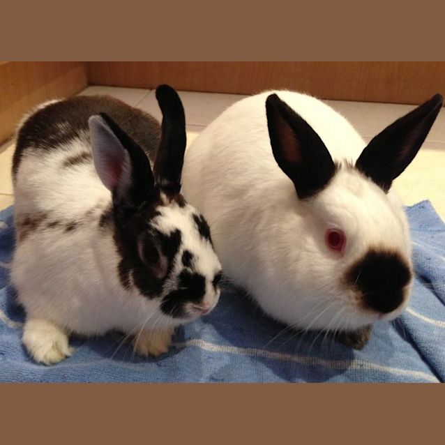 Photo of Valentine And Peter