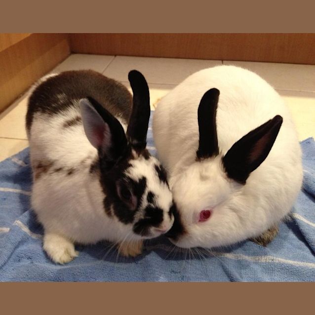 Photo of Valentine And Peter