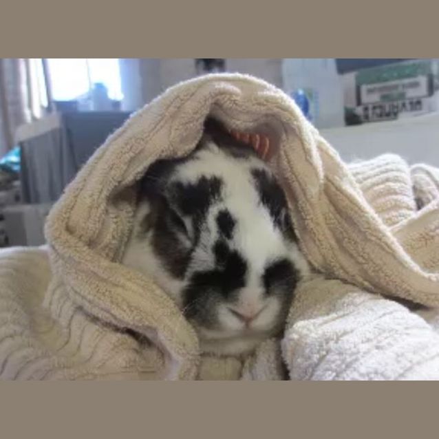 Photo of Valentine And Peter