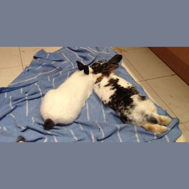 Photo of Valentine And Peter