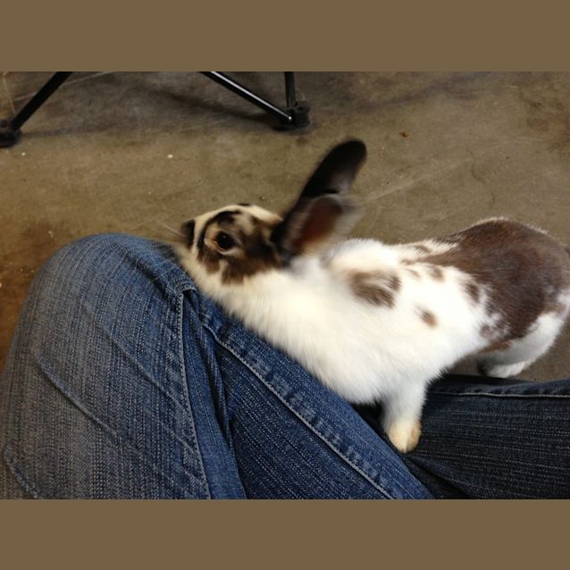 Photo of Valentine And Peter