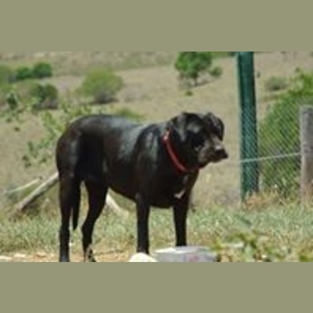 Photo of Molly