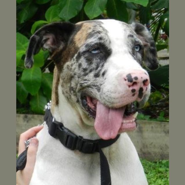 Photo of Bella Boo