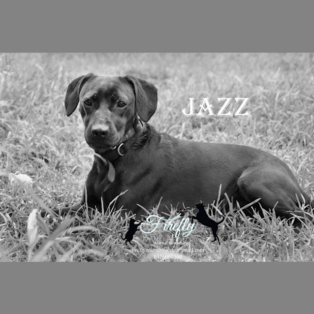 Photo of Jazz!!