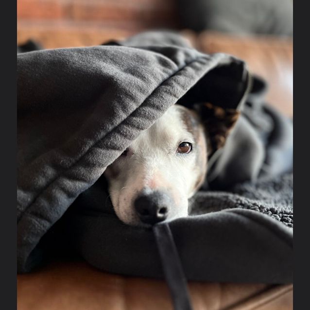 Photo of Chuck