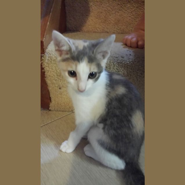 Photo of Molly