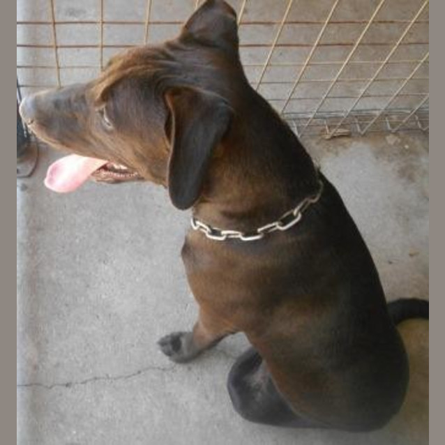 Photo of Mika
