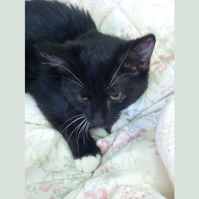 Photo of Alley