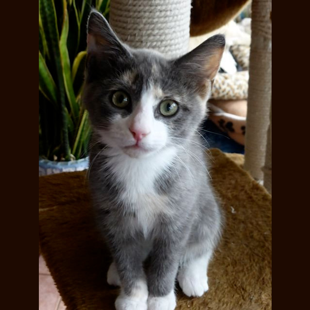 Photo of Chloe