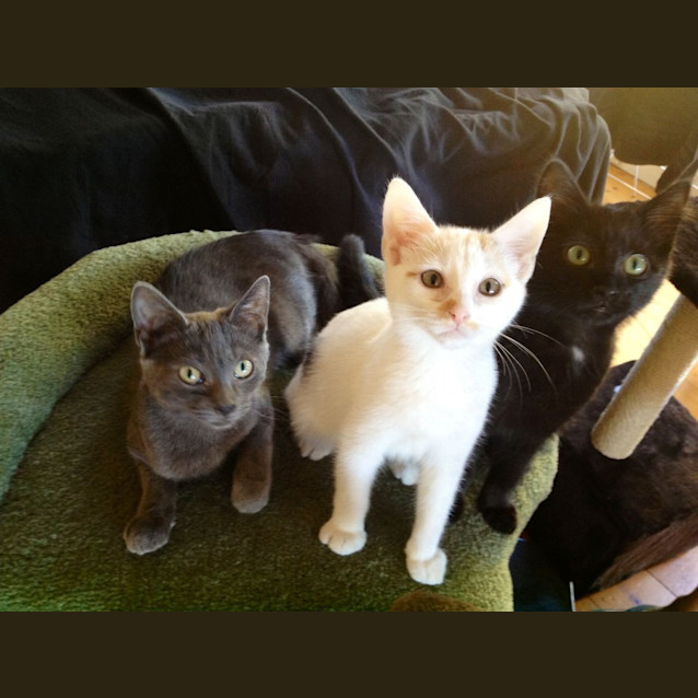 Photo of Princess Dotty Beans