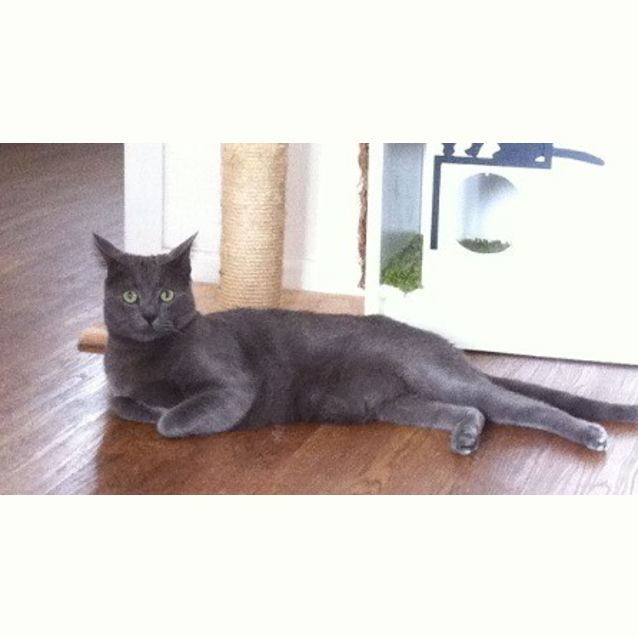 Photo of Solly