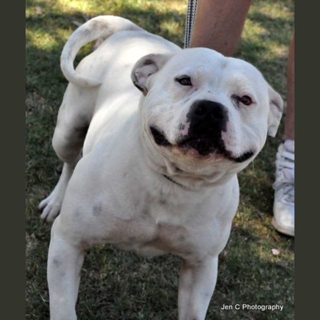 Photo of Tyson