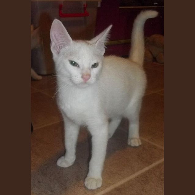 Photo of Clause