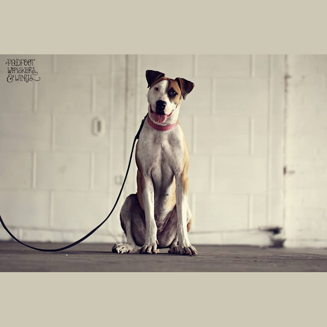 Photo of Coco