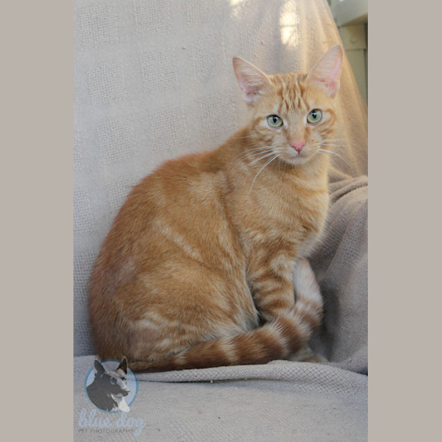 Photo of Fergie (C985)