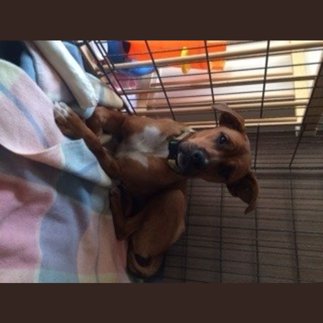 Photo of Sansa