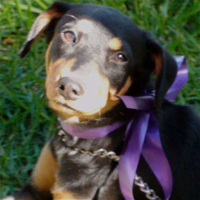 Photo of Mabel