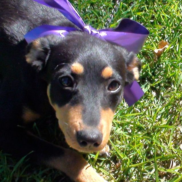 Photo of Mabel