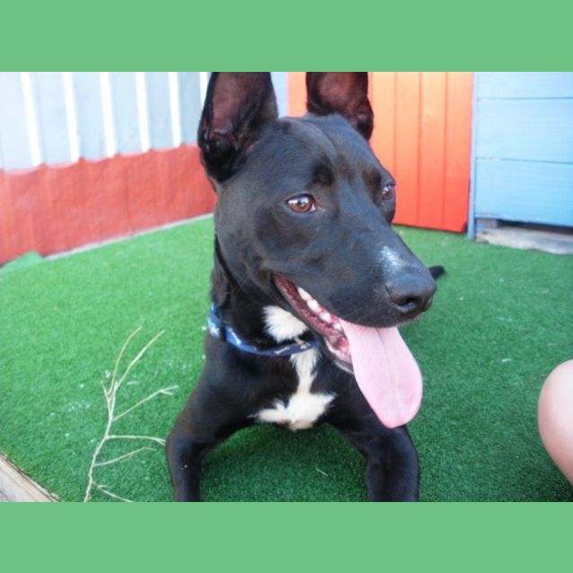 Photo of Footloose ~ Special Girl ~ (On Trial 30/8/14)