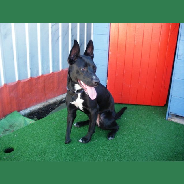 Photo of Footloose ~ Special Girl ~ (On Trial 30/8/14)